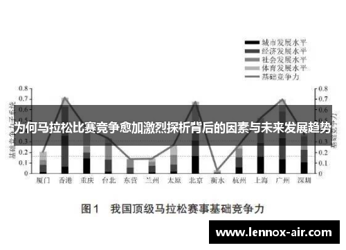 为何马拉松比赛竞争愈加激烈探析背后的因素与未来发展趋势